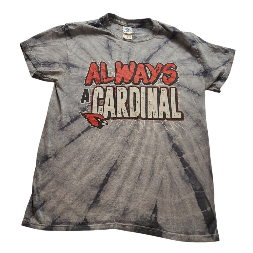 Colortone Always A Cardinal Tie Dye T-Shirt Grey Red Small Men's Graphic tee